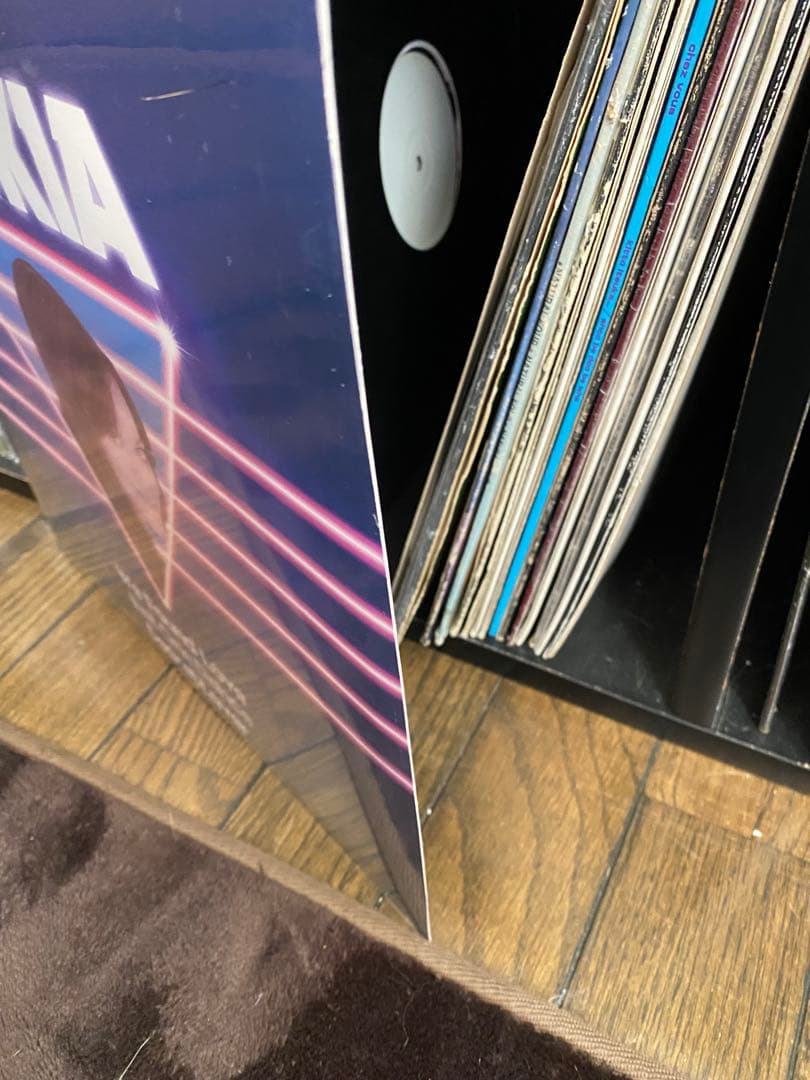 激レア　シールド　SASKIA We Found Love レコード
