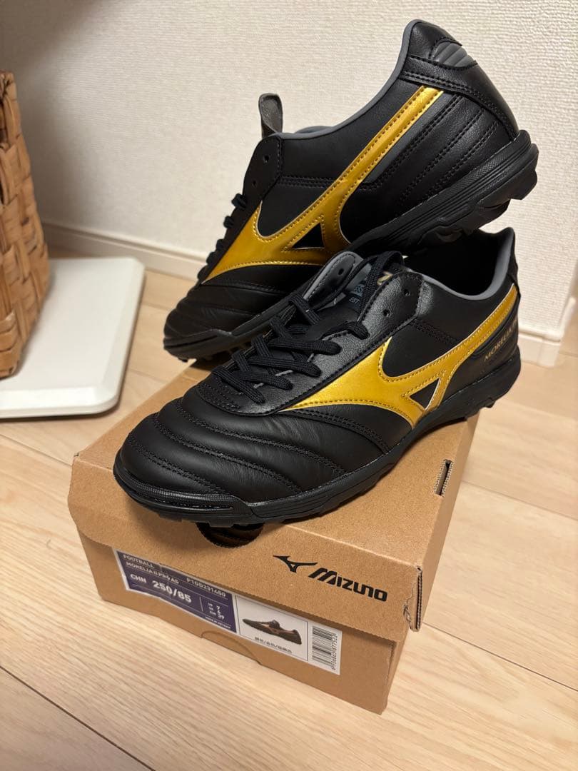 【新品未使用】Mizuno Morelia Pro Ⅱ TF 25.0cm