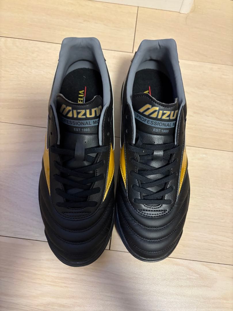 【新品未使用】Mizuno Morelia Pro Ⅱ TF 25.0cm