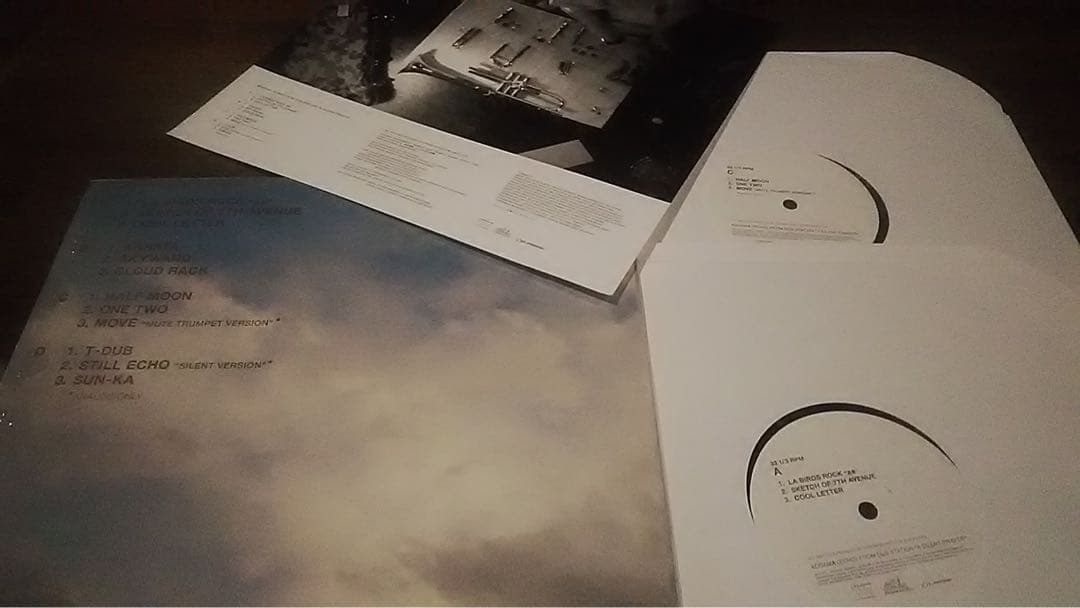 稀少2LP/KODAMA(ECHO～/A SILENT～ シュリンク/こだま和文