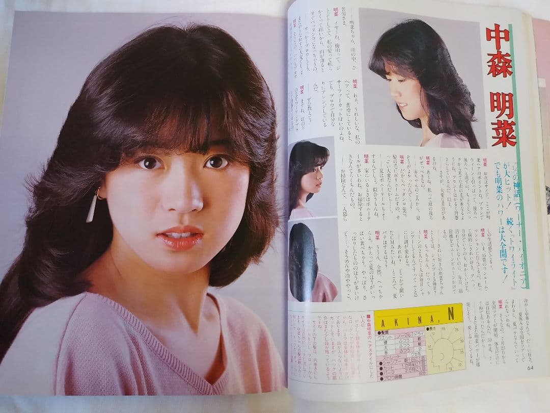 明星ヘアカタログ '83 夏の号　 希少品　レア
