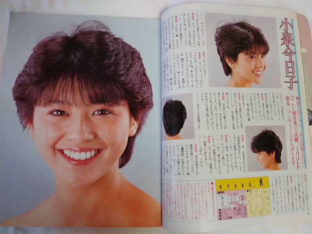 明星ヘアカタログ '83 夏の号　 希少品　レア