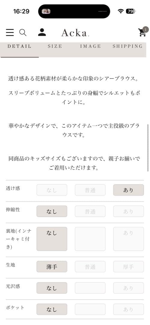 シアーオーバーフレアブラウス
