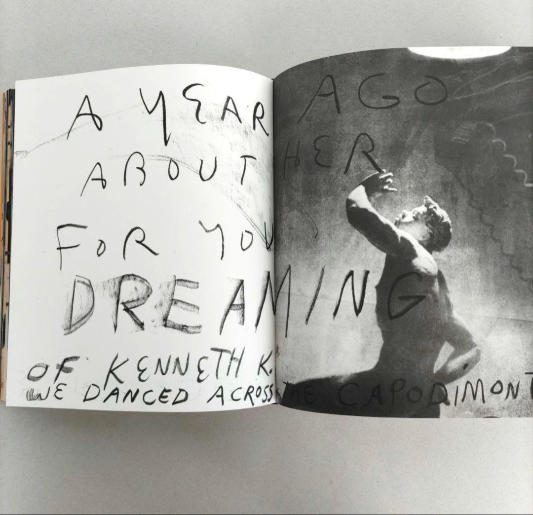 JIM DINE ジム・ダイン /作品集 ポップアート 洋書