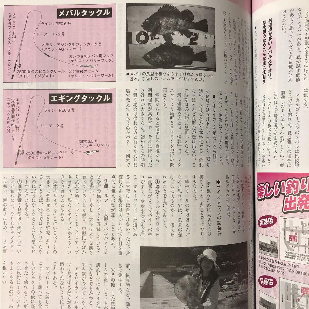 関西のつり / 2011年 6月号 / 波止の大物狙い撃ち！！ / 岳洋社