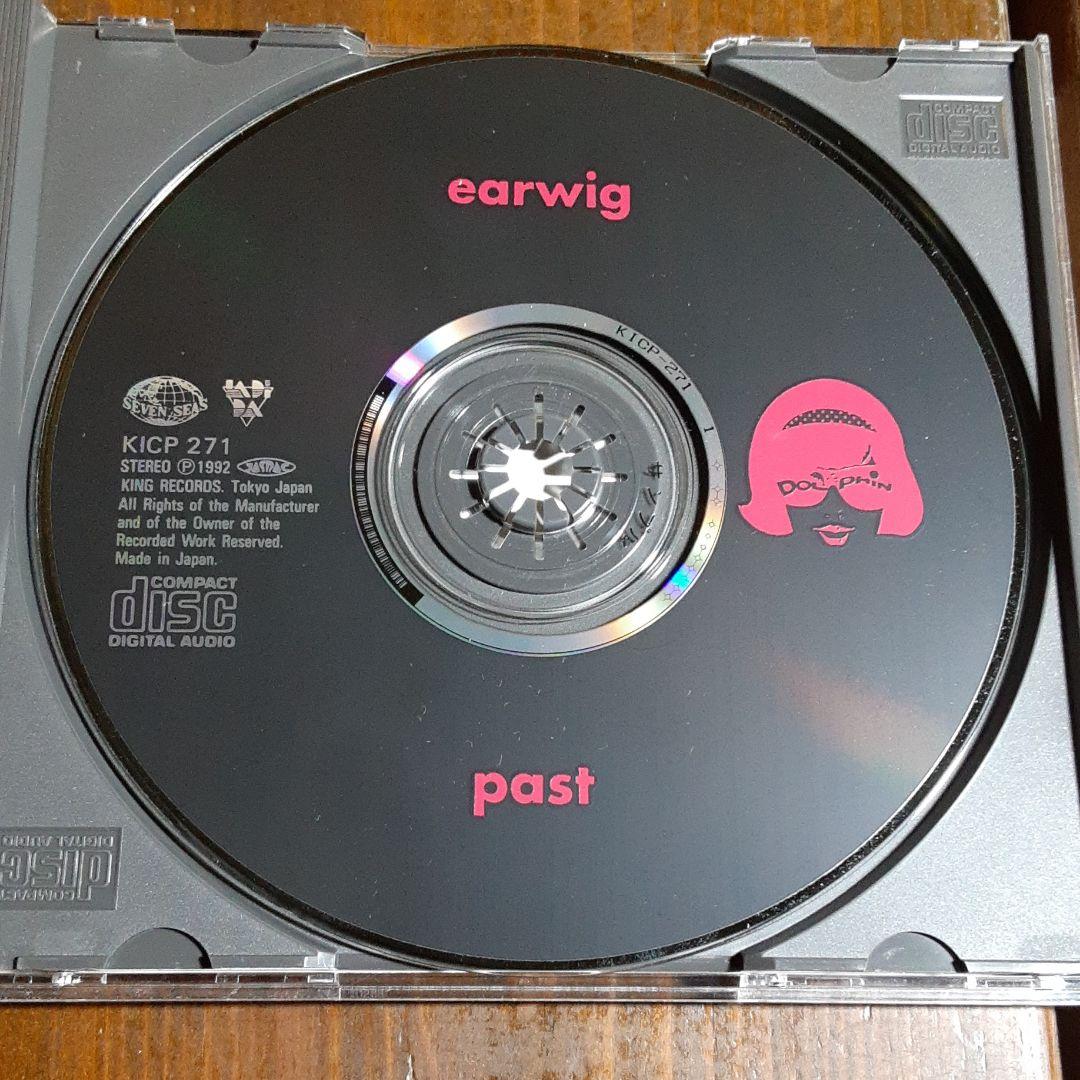 イヤーウィグ earwig パスト past