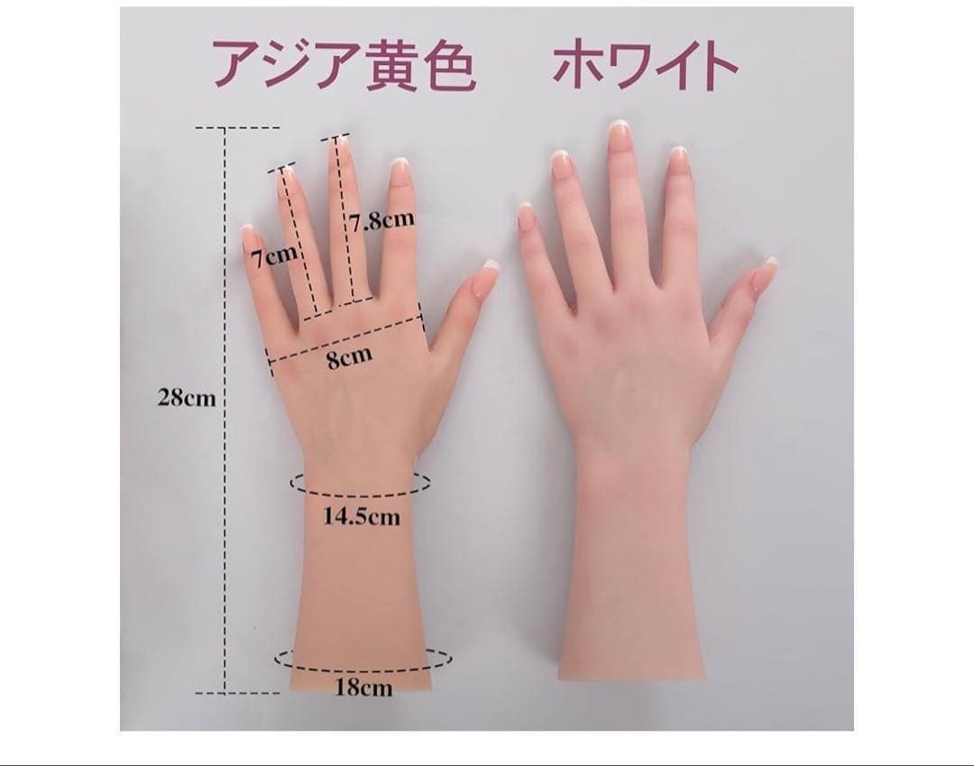 11111 MOTLEYBEAN ハンドマネキン骨格付き‐両手-アジア黄色