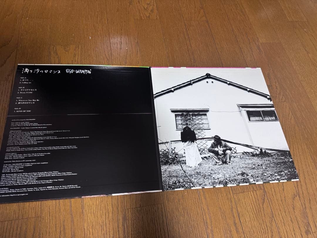 EGO-WRAPPIN' 満ち汐のロマンス　レコード　エゴラッピン　アナログ