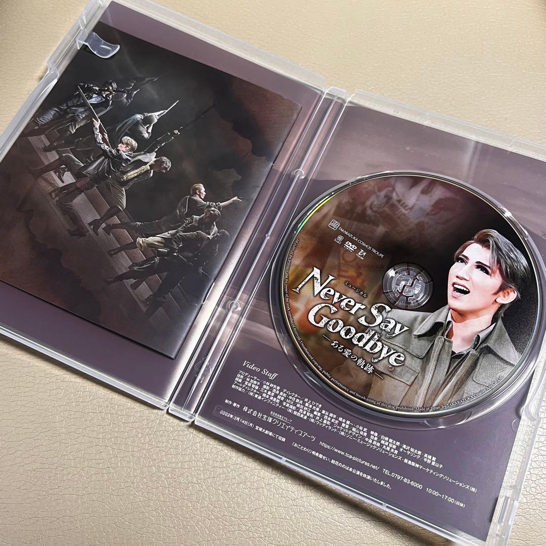 宙組 宝塚大劇場公演 NEVER SAY GOODBYE-ある愛の軌跡-
