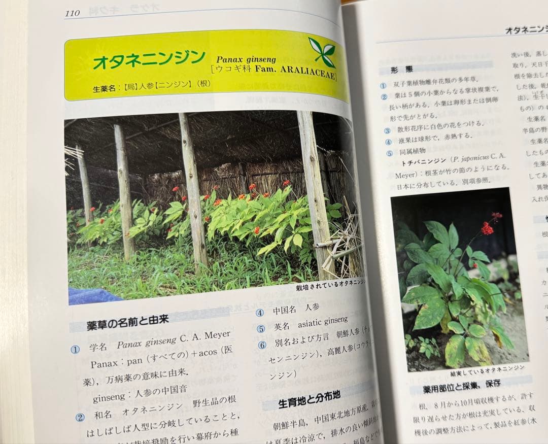 日本薬草全書　未使用品