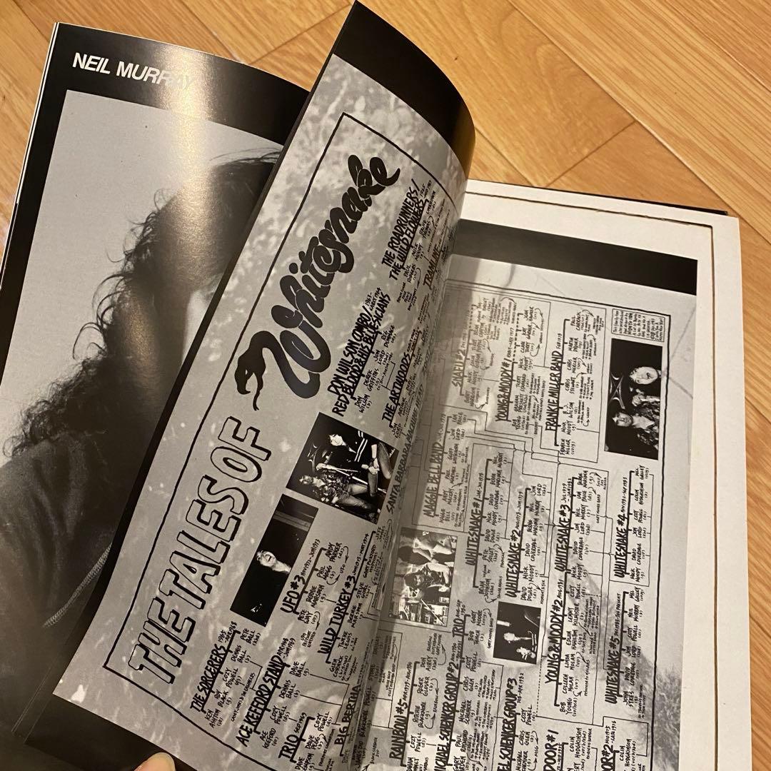 ホワイトスネイク レコード メルカリ便 白蛇の紋章 Slide It In ３枚