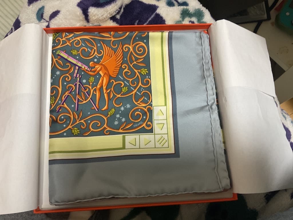 ぽ*ち様 【新品・箱付き】希少 エルメス カレ90 www.hermes.com