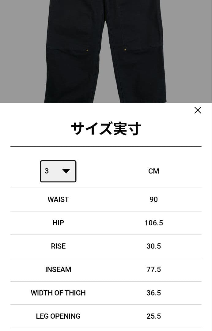 パンツ Sacai x Carhartt WIP Duck Pants black 3