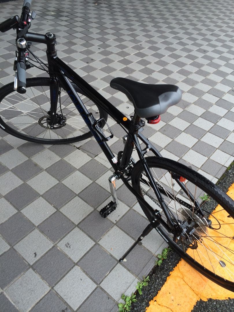【手渡し限定】LOUIS GARNEAU TREKKINGBIKE LITE E