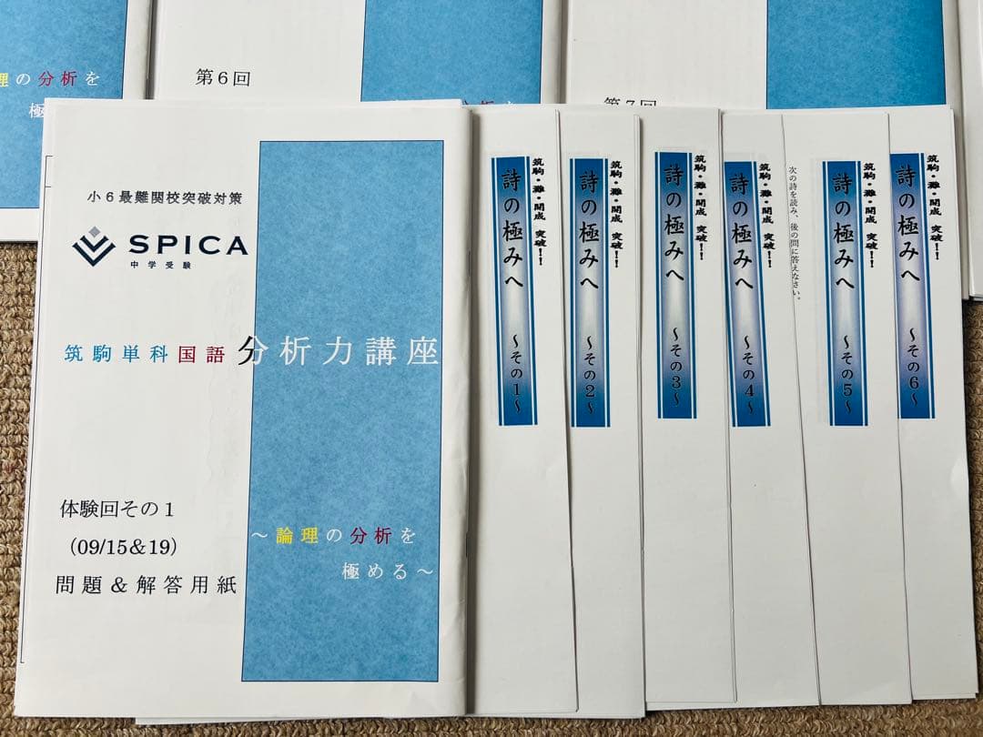 最新版　中学受験SPICA スピカ　国語　筑駒　単科講座　小6最難関校突破対策