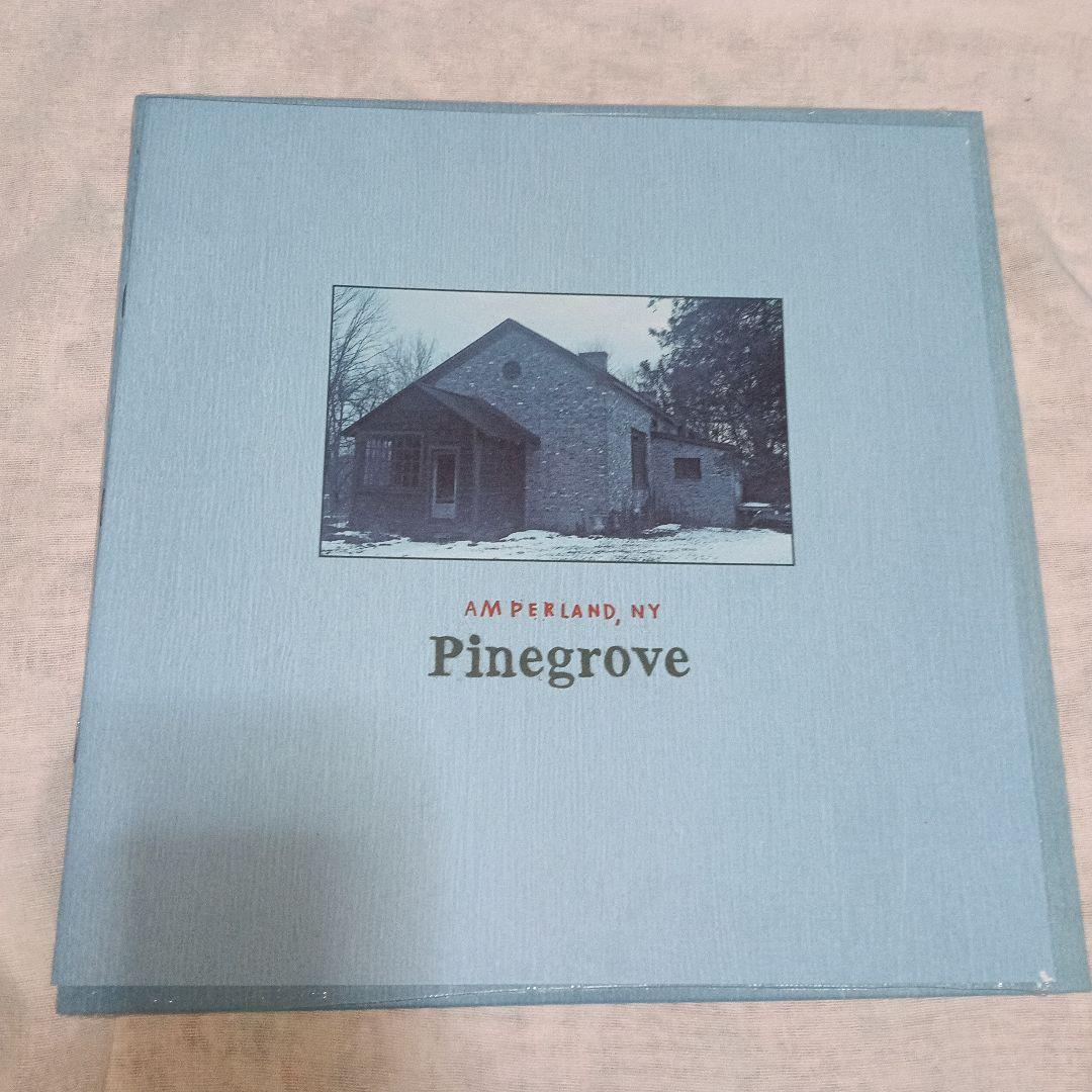 Pinegrove レコード