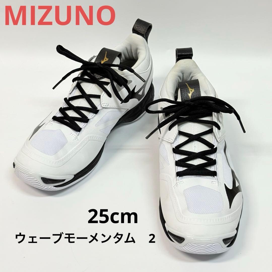 ミズノ　MIZUNO ウエーブモーメンタム 2 バレーボールシューズ　25cm