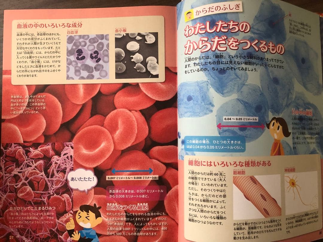 考える力を 366 頭のいい子を 365 人体のふしぎな 英語好きな子に セット