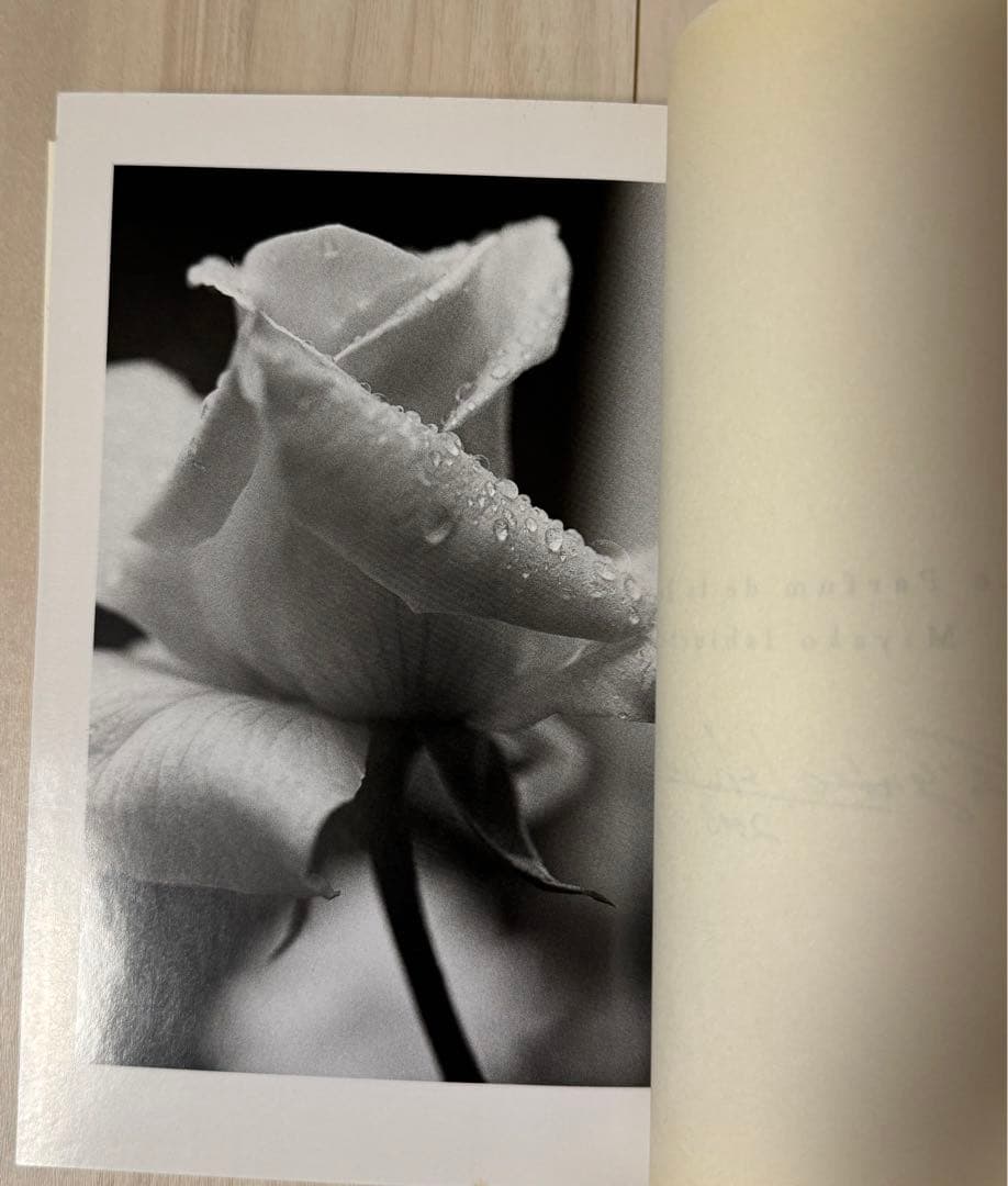 初版！石内都サイン署名】薔薇のパルファムLe Parfum de la Rose