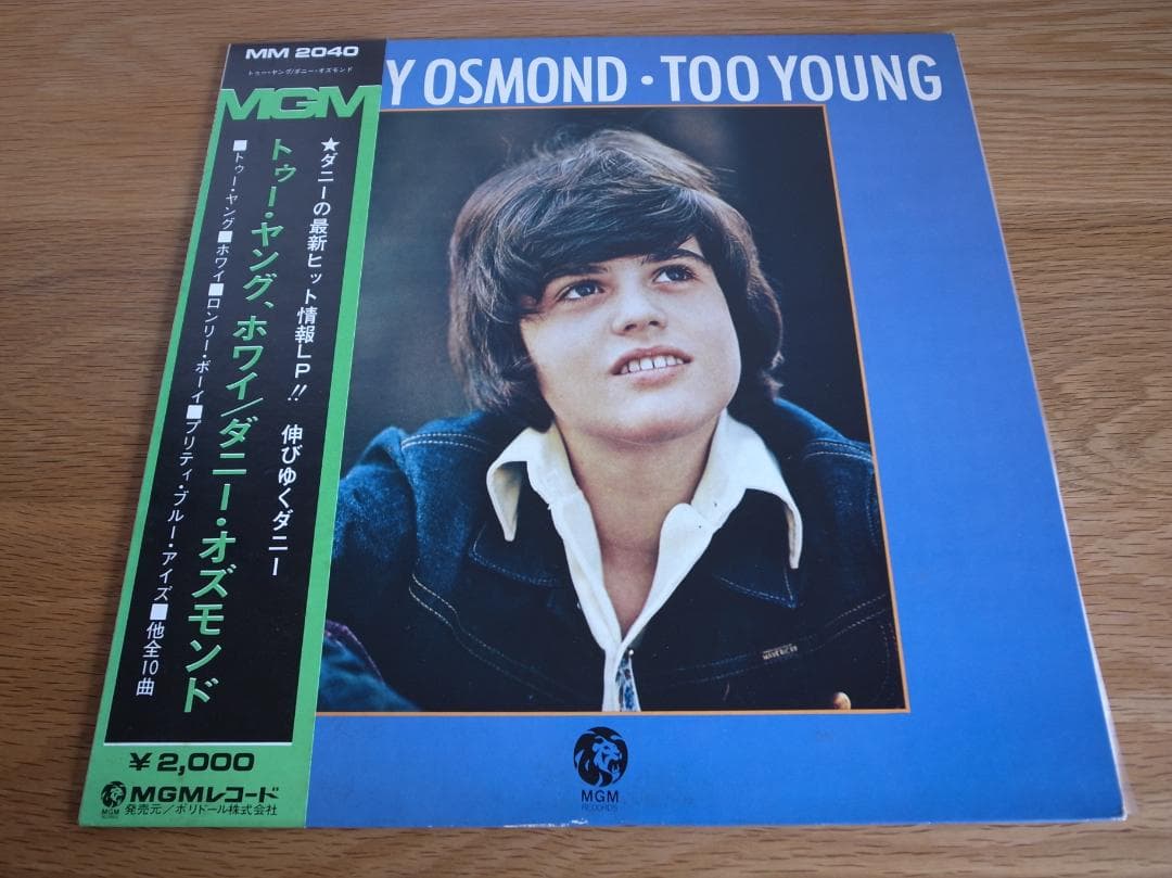オズモンズ OSMONDS 国内盤 LP 12枚セット