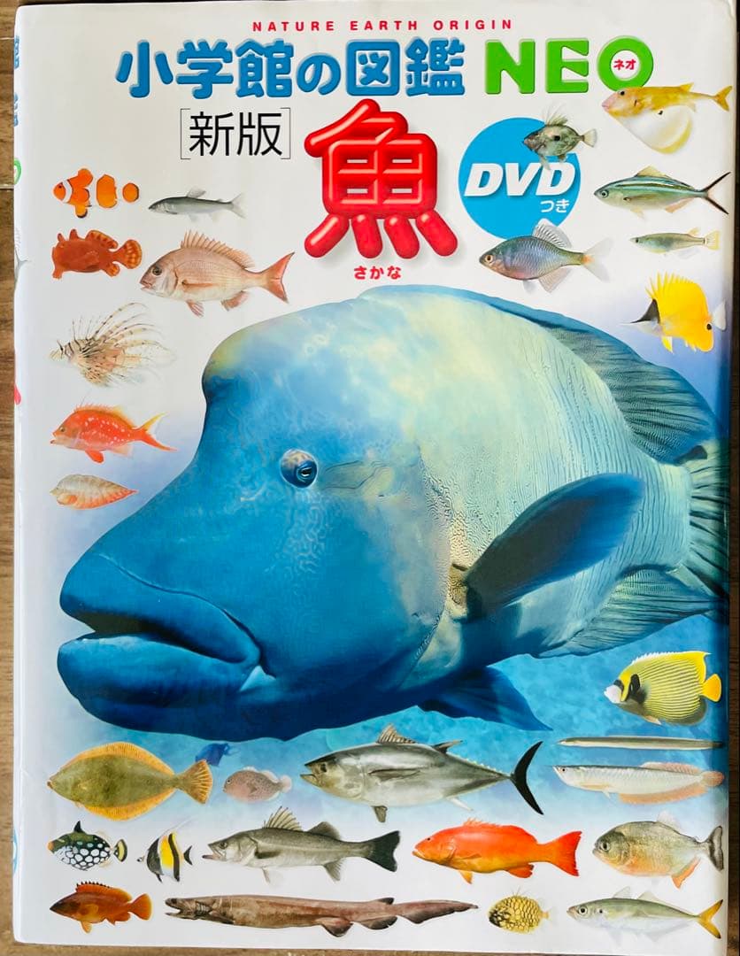 小学館の図鑑NEO　10冊セット