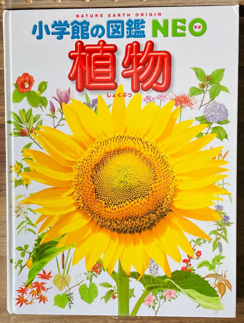 小学館の図鑑NEO　10冊セット