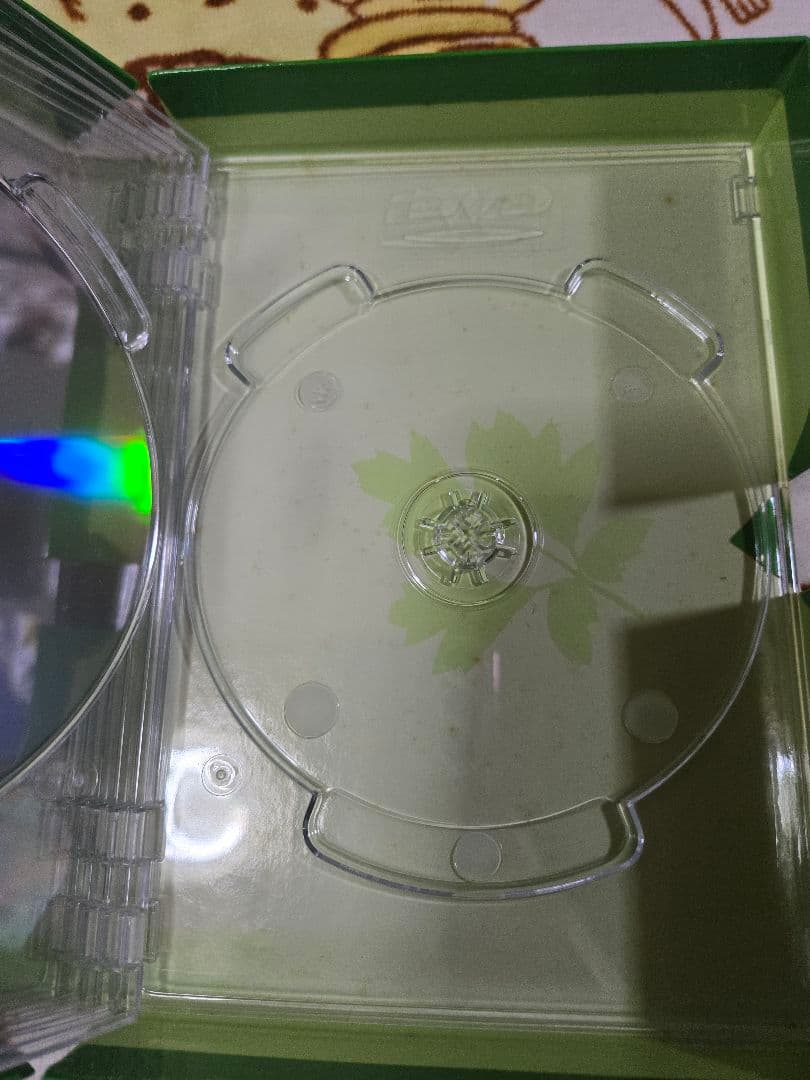 若葉のころ DVD-BOX