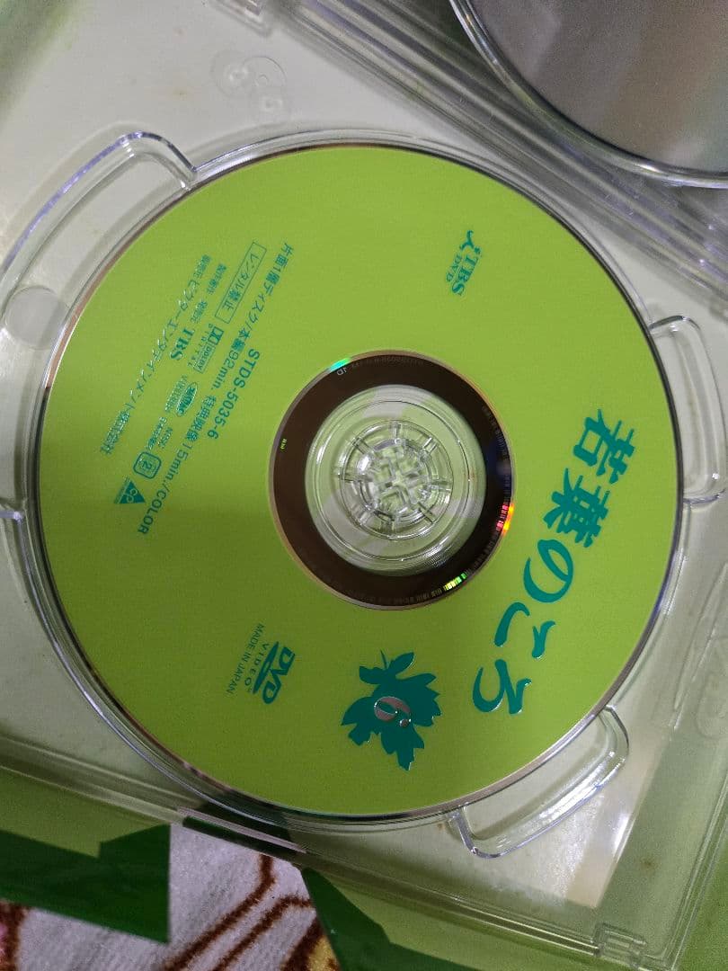 若葉のころ DVD-BOX