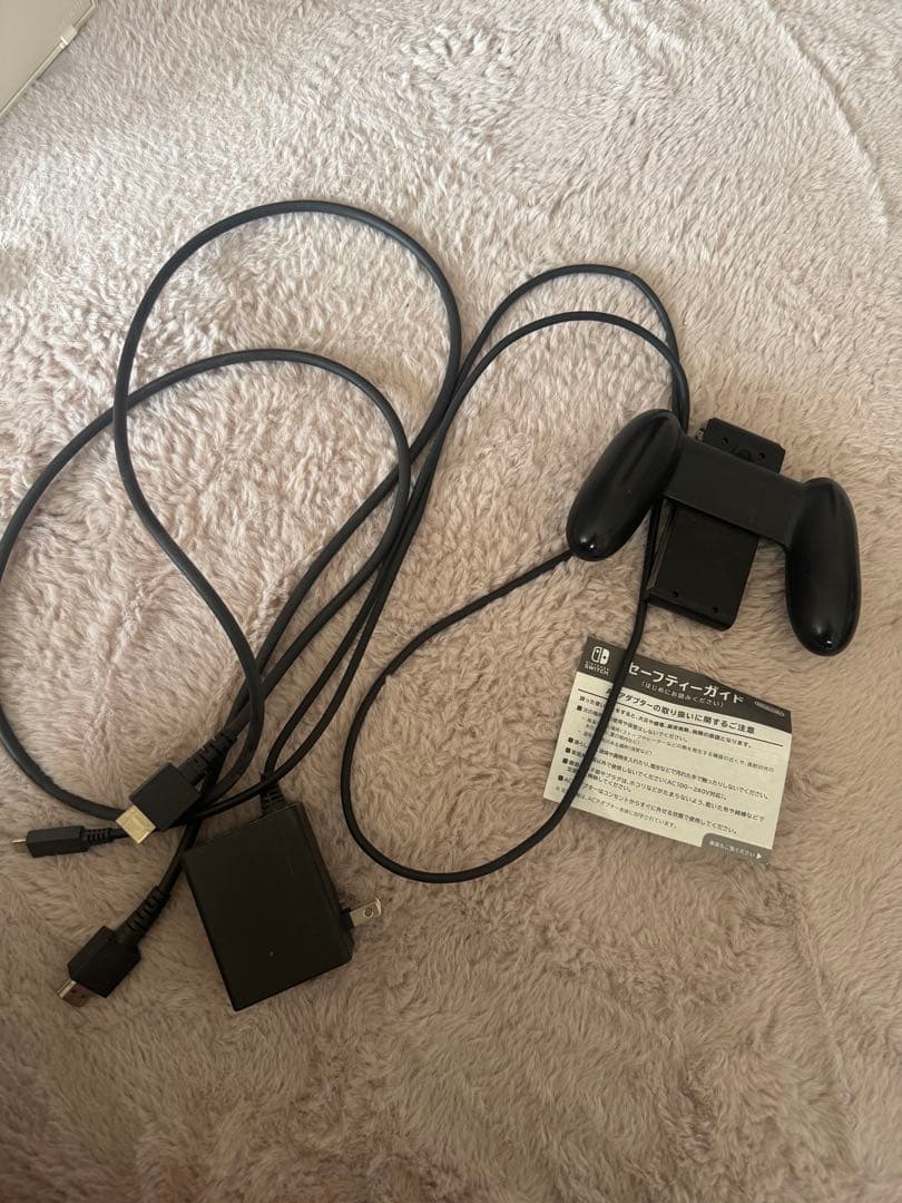 任天堂スイッチ あつまれどうぶつの森セット Nintendo switch
