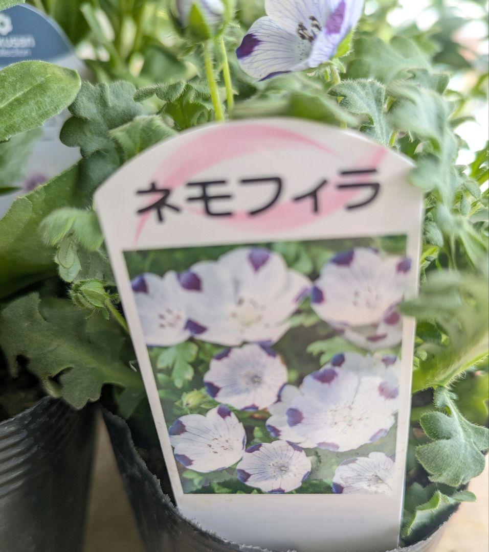 ♡ソバン様♡