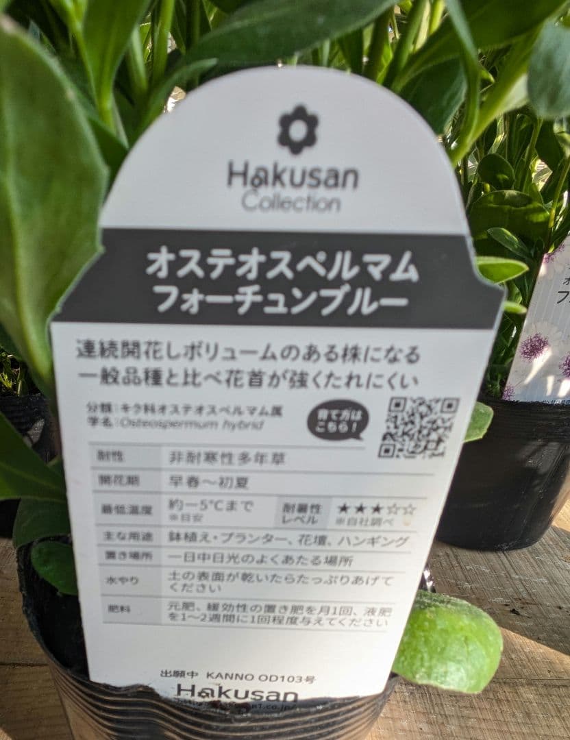 ♡ソバン様♡