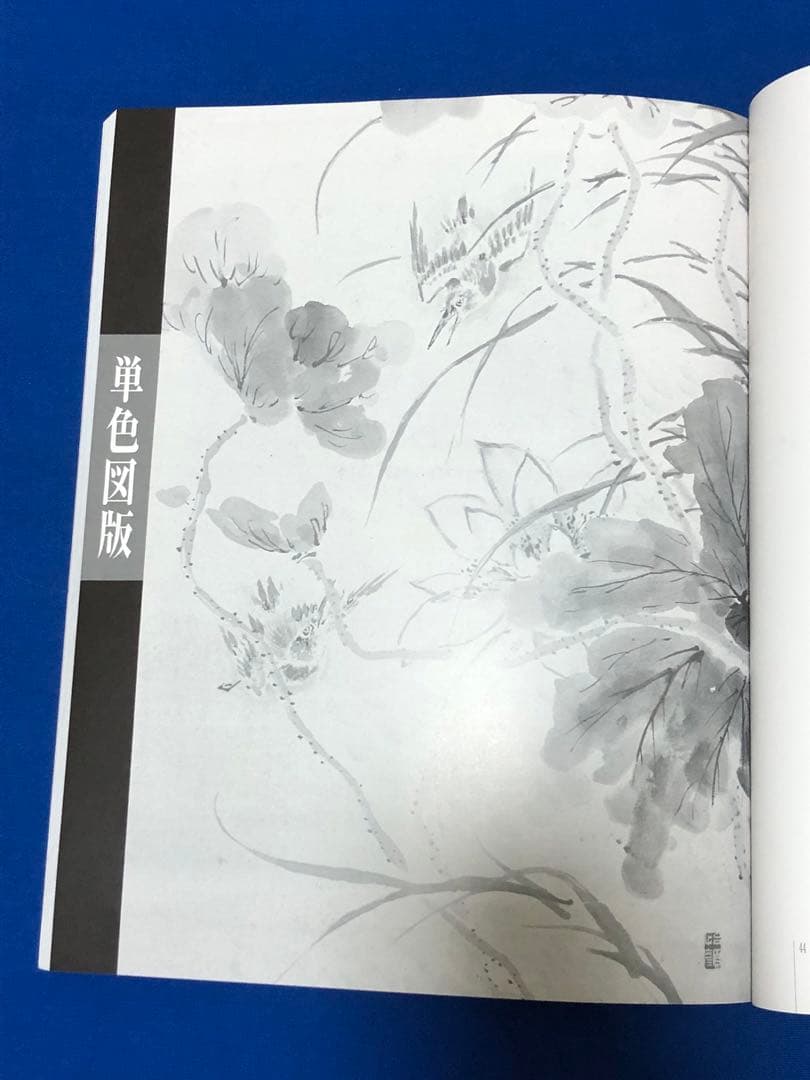 平成六年秋の企画展　椿　椿山展♢田原博物館♢h44w53