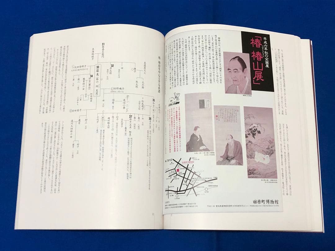 平成六年秋の企画展　椿　椿山展♢田原博物館♢h44w53