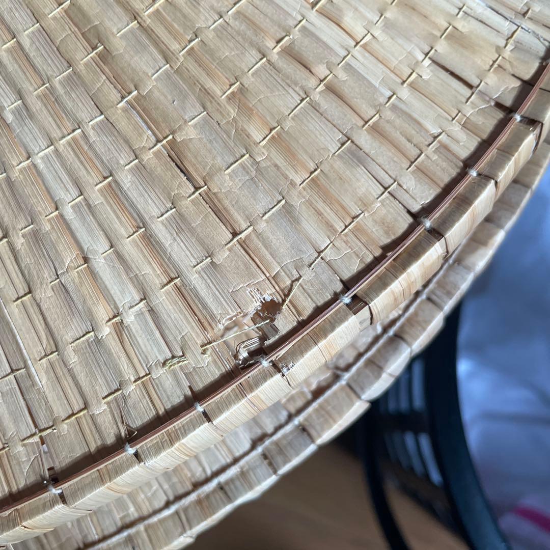 舞踊傘 セット