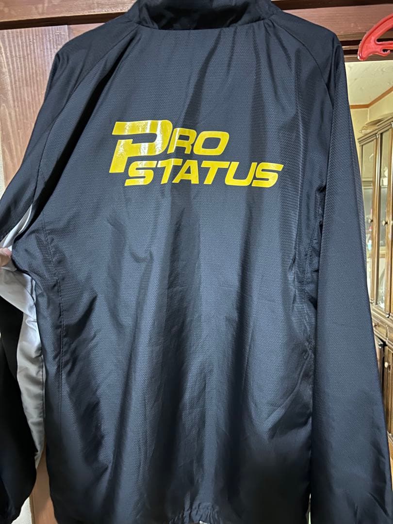 木*介様 最終値下げ‼️ZEET PROSTATUS プロステイタ野球ウェア　グ