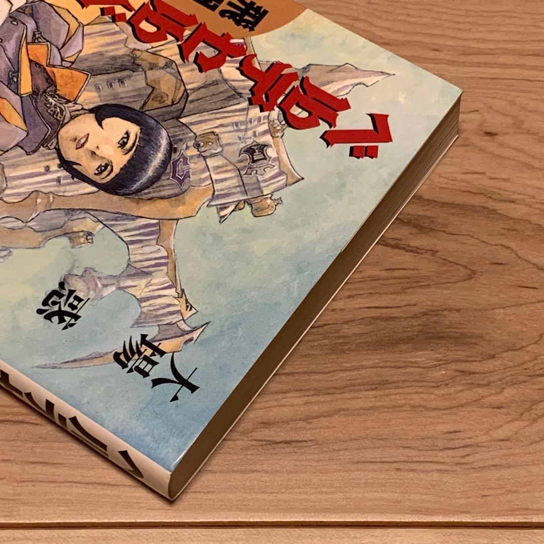 初版 大場惑 ベルデセルバ戦記 飛翔篇イラスト出渕裕YUTAKAIZUBUCHI
