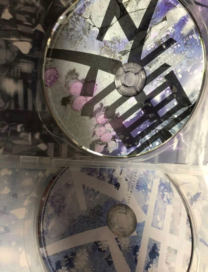 まふまふ DVD BOXセット ひきライ 東京ドーム 表 裏