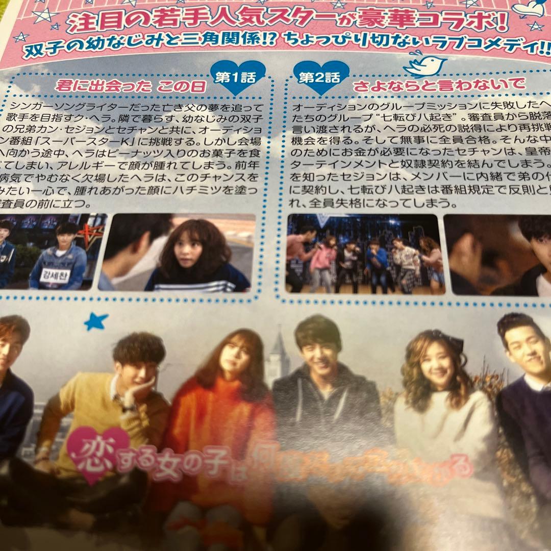 韓国ドラマDVD【恋は七転び八起き】【レンタル落ちDVD】【全話】