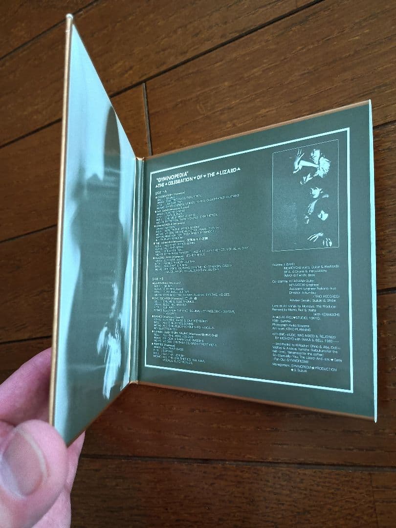 LIZARD/1st〜4th Album＋彼岸の王国（LIVE/リザード年代記）