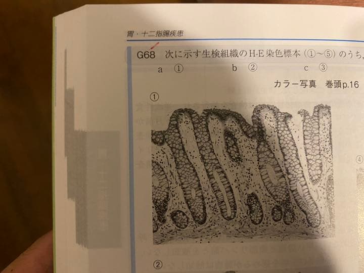 クエスチョン・バンク 医師国家試験問題解説 2019 vol.1〜7