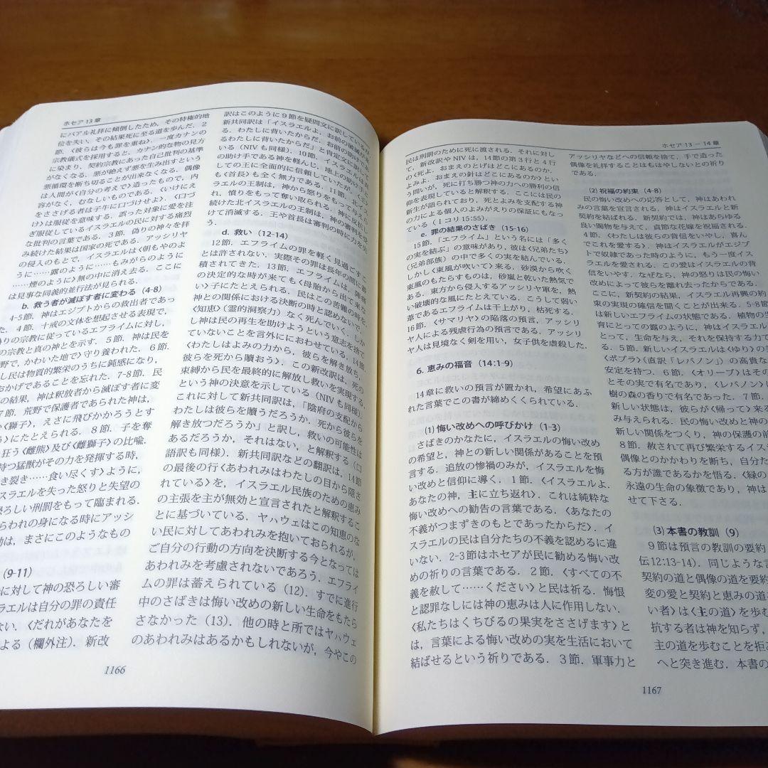 新実用聖書注解　いのちのことば社《絶版品切中の入手困難な稀覯書》