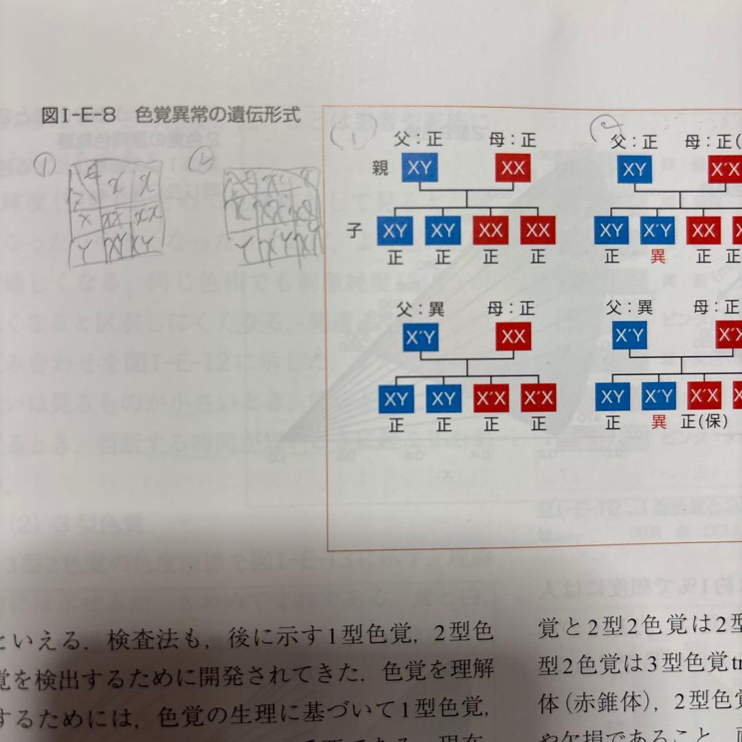 視能学 第3版