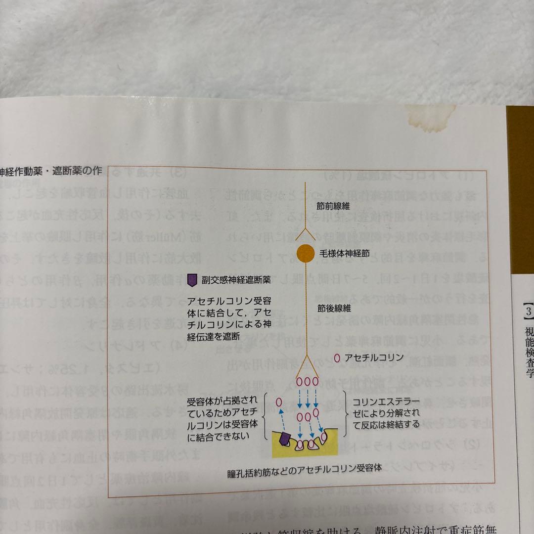 視能学 第3版