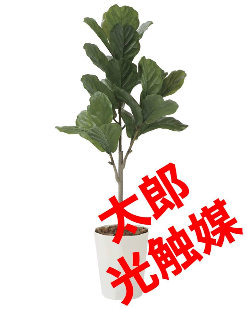 光触媒　人工観葉植物　ウォールグリーン　フェイクグリーン　カシワバゴム1.25