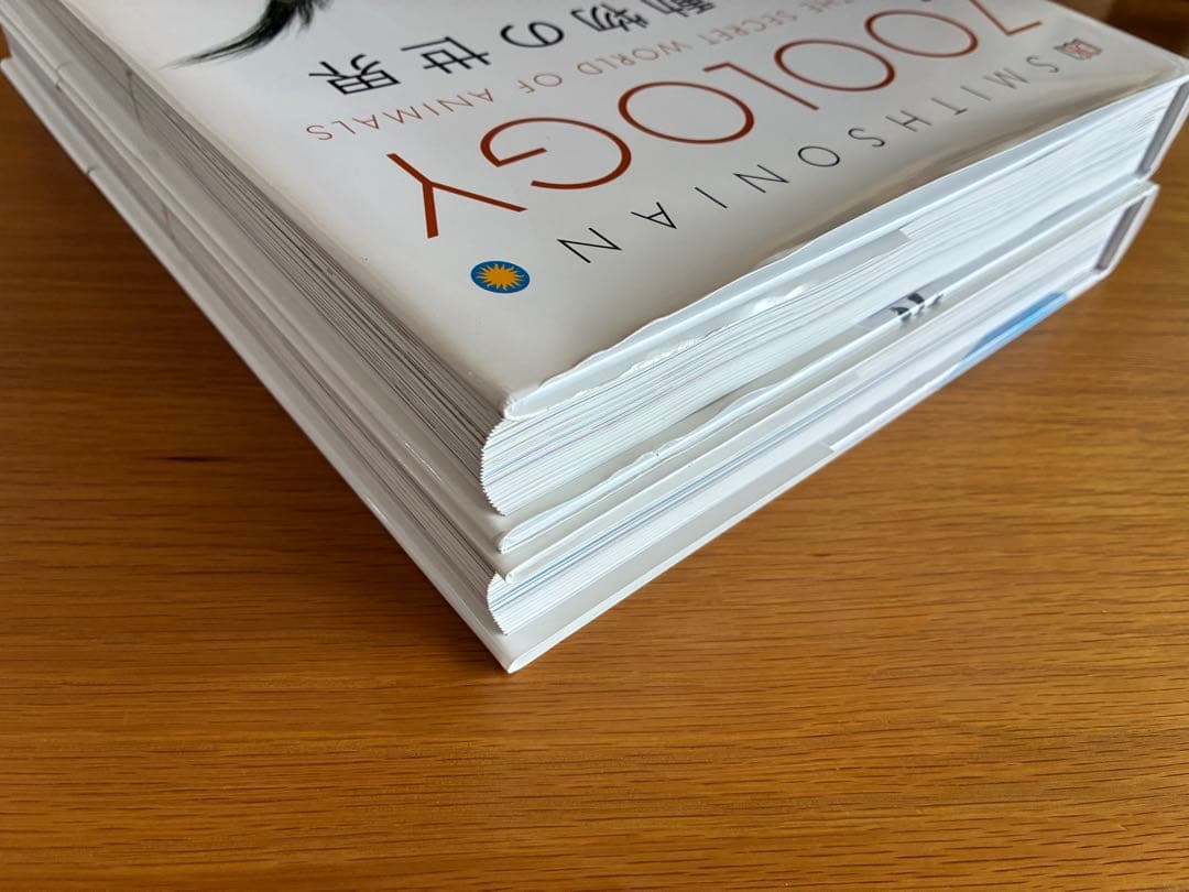 ZOOLOGY 図鑑　海の生物　動物の世界　2冊セット　帯付き　美品