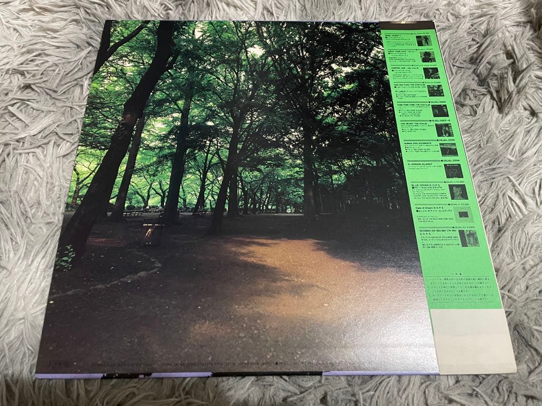 あぶらだこ 木盤 LP