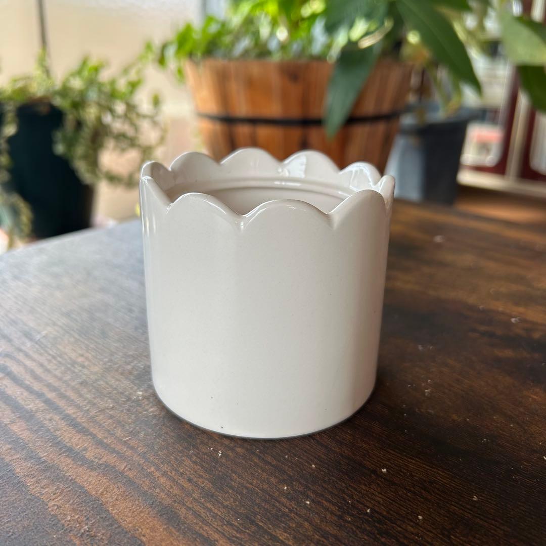 やなせたかし ポエム 陶器 小物入れ