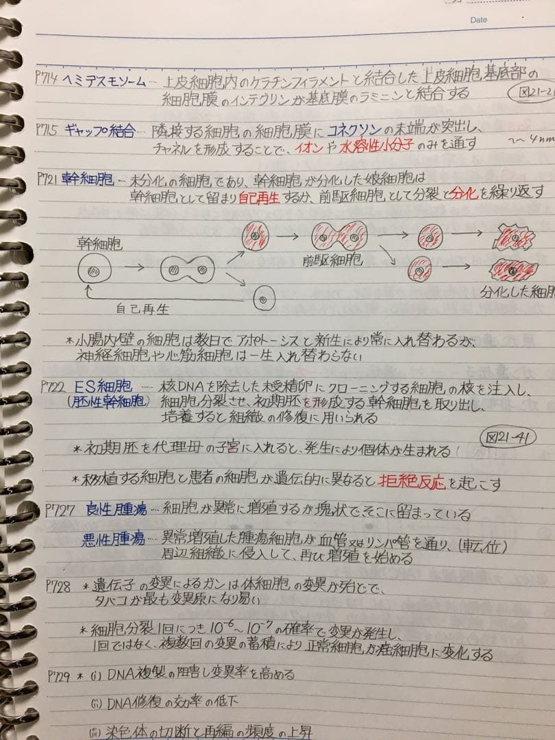 医療系学科定期試験、国家試験対策まとめノート【生物系セット】