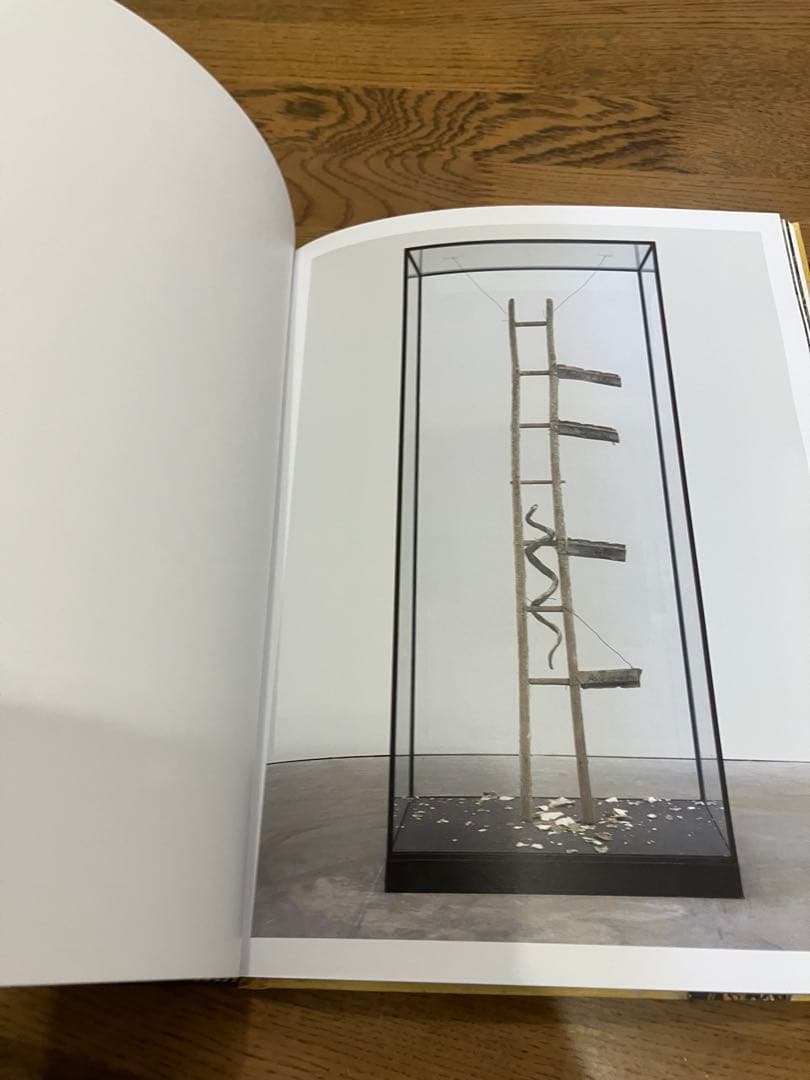 Anselm Kiefer Fallen Angels アンゼルム キーファー