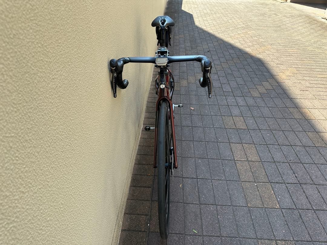 SPECIALIZED ROUBAIX EXPERT UDI2 2019年